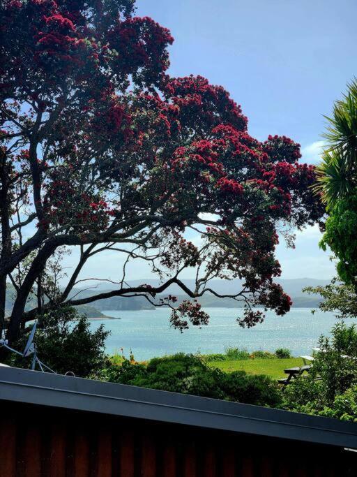 Orca Lodge Raglan Bagian luar foto