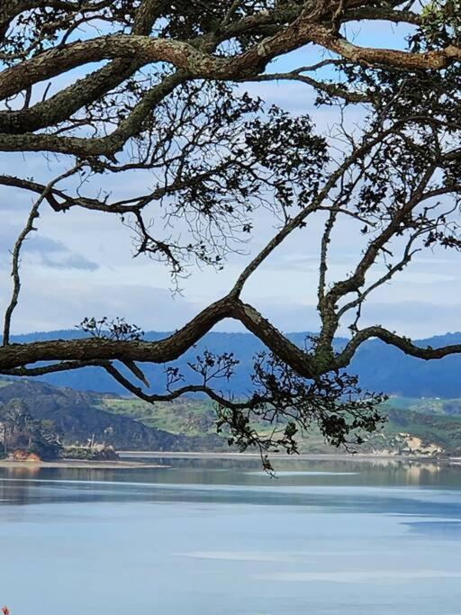 Orca Lodge Raglan Bagian luar foto